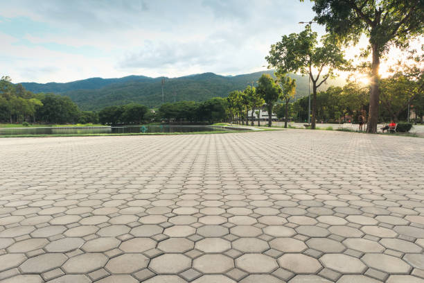 Best Driveway Pavers Near Me  in Olton, TX