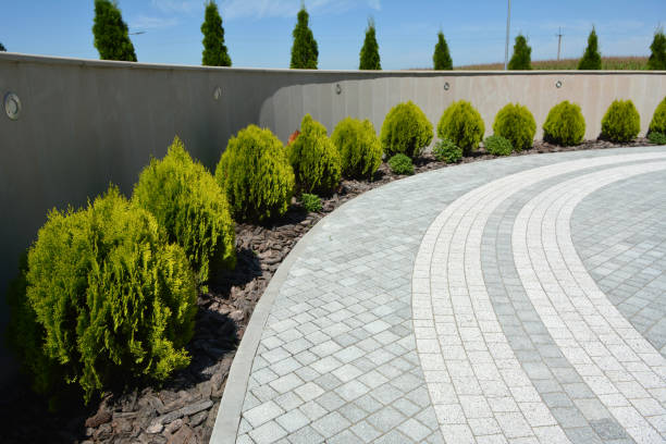 Trusted Olton, TX Driveway Pavers Experts